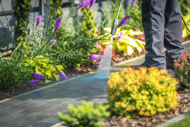 Professional Pressure Washing Services in North Laurel, MD